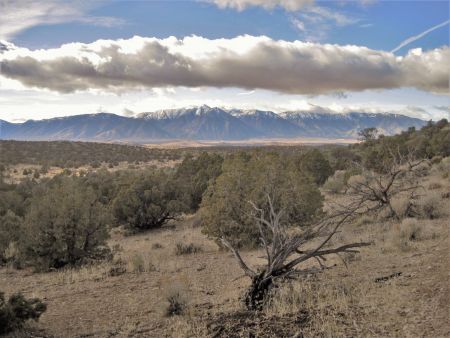 Muscle Powered, Saturday Winter Hike to Pinyon Trail in Carson Valley, Sponsored by Muscle Powered
