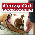 Crazy Cat Dog Grooming
